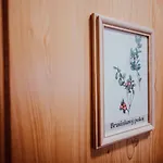Casa de hóspedes Brusinka Kocourov (Pilsen)