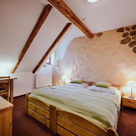 Brusinka Guest house Kocourov (Pilsen)