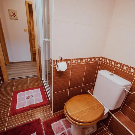 Brusinka Guest house *